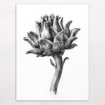 Artichoke Drawing by Jean Bernard