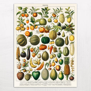 Fruit & Vegetable Illustration by Larousse, Pierre, Augé and Claude (1898)