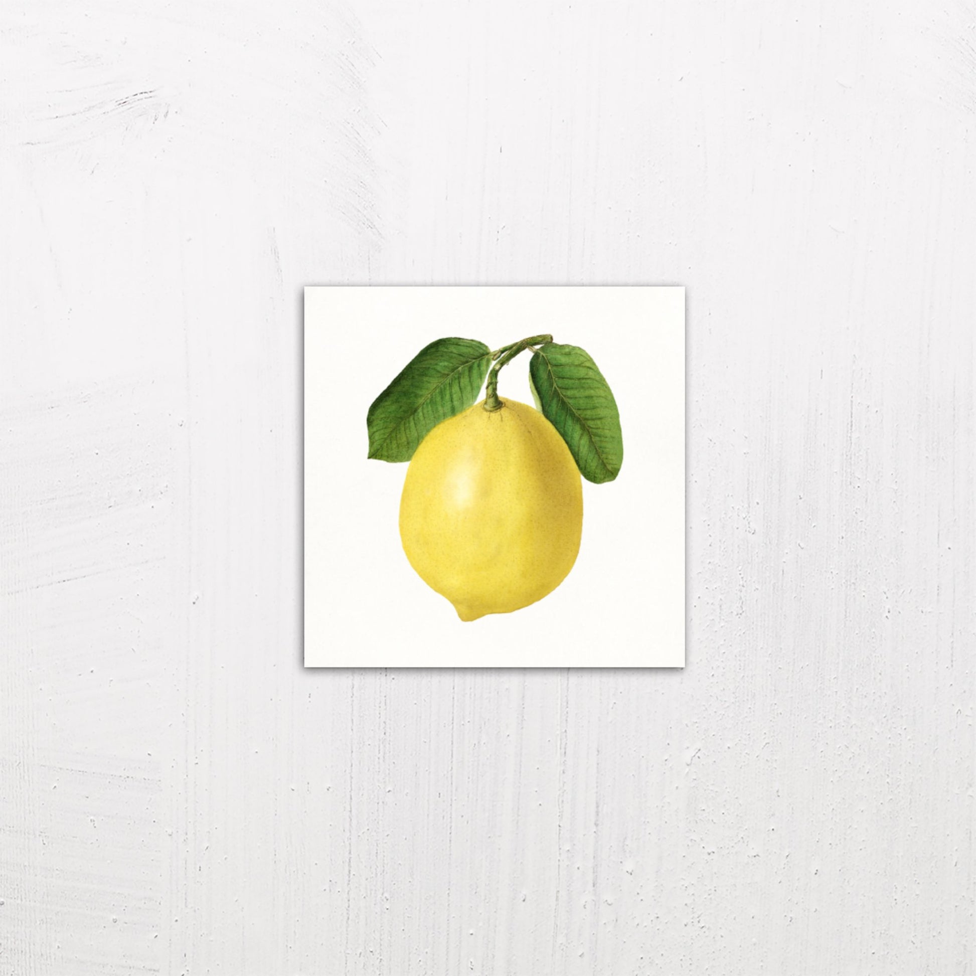 A small size metal art poster display plate with printed design of a Vintage Lemon Illustration by Ellen Isham Schutt (1910)