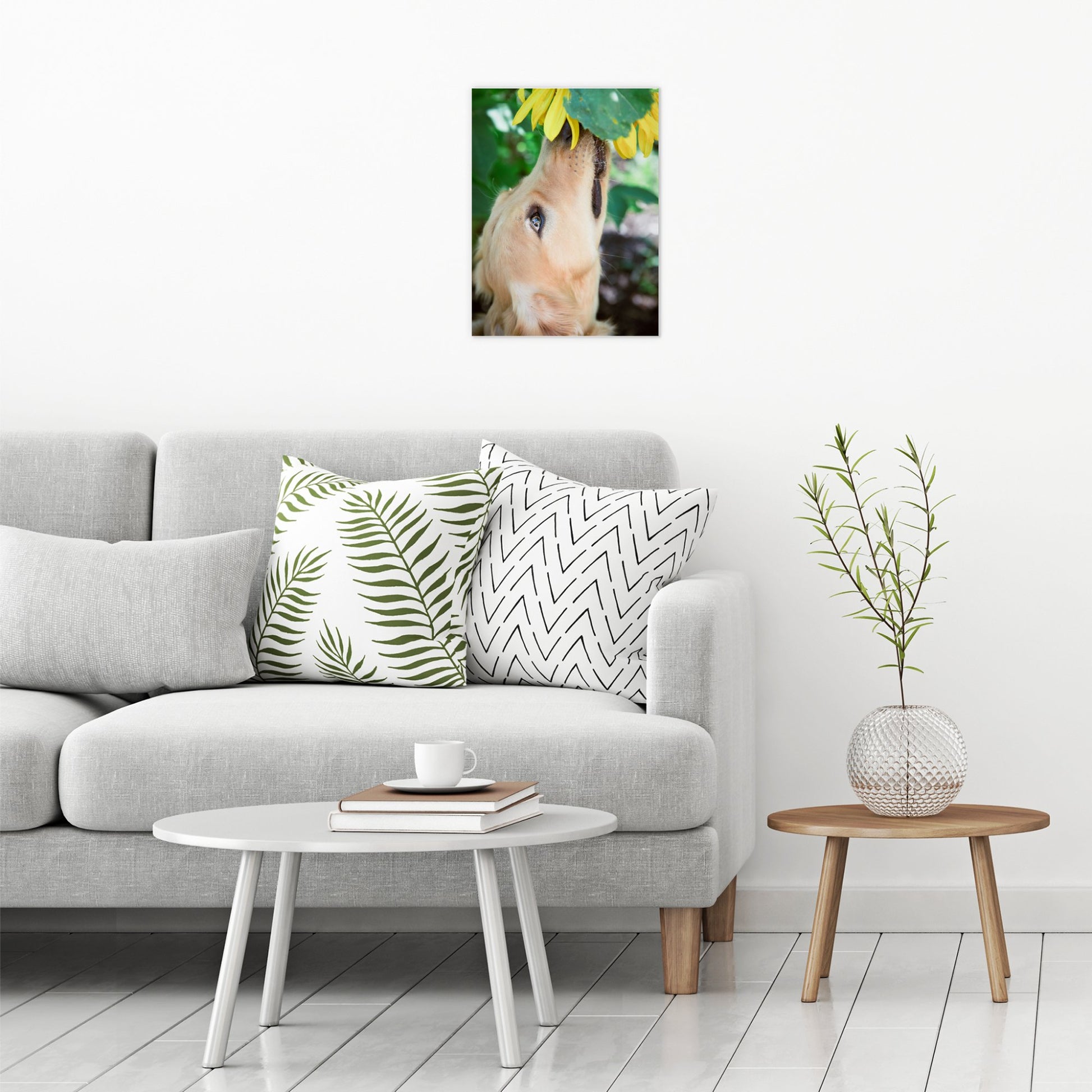 A contemporary modern room view showing a medium size metal art poster display plate with printed design of a Golden Retriever with a Flower