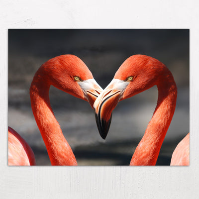 Two Flamingos Make a Heart