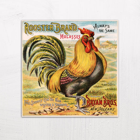 A large size metal art poster display plate with printed design of a Rooster Brand Molasses Vintage Advertising Poster (1891)