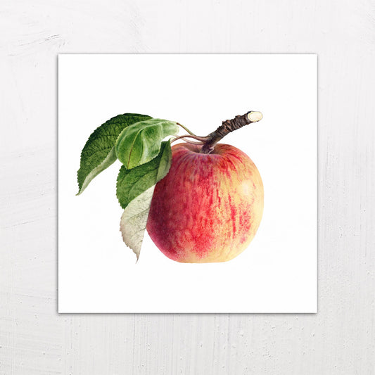 A large size metal art poster display plate with printed design of a Vintage Apple Illustration
