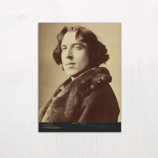 Photograph of Oscar Wilde by Napoleon Sarony (1882)