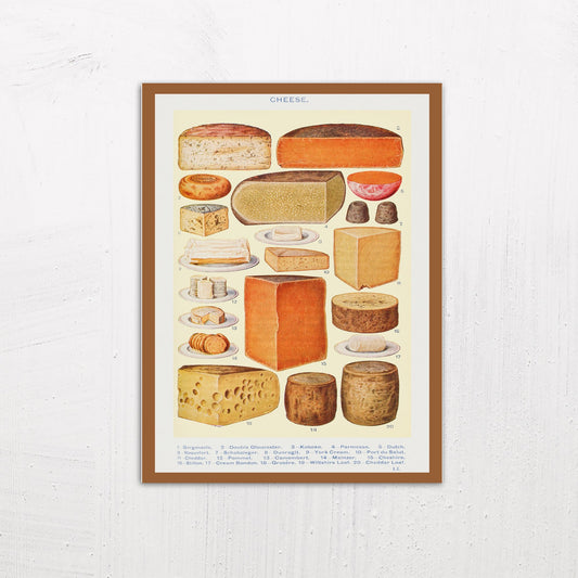 Cheese Illustration from Mrs Beeton’s Book of Household Management