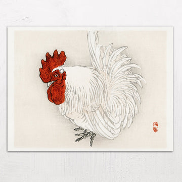 Japanese Bantam Illustration by Kōno Bairei