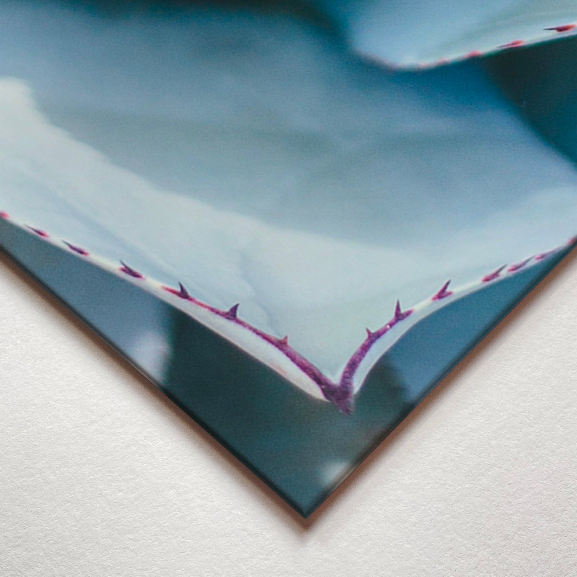 A closeup corner detail view of a metal art poster display plate with printed design of a Blue Succulent