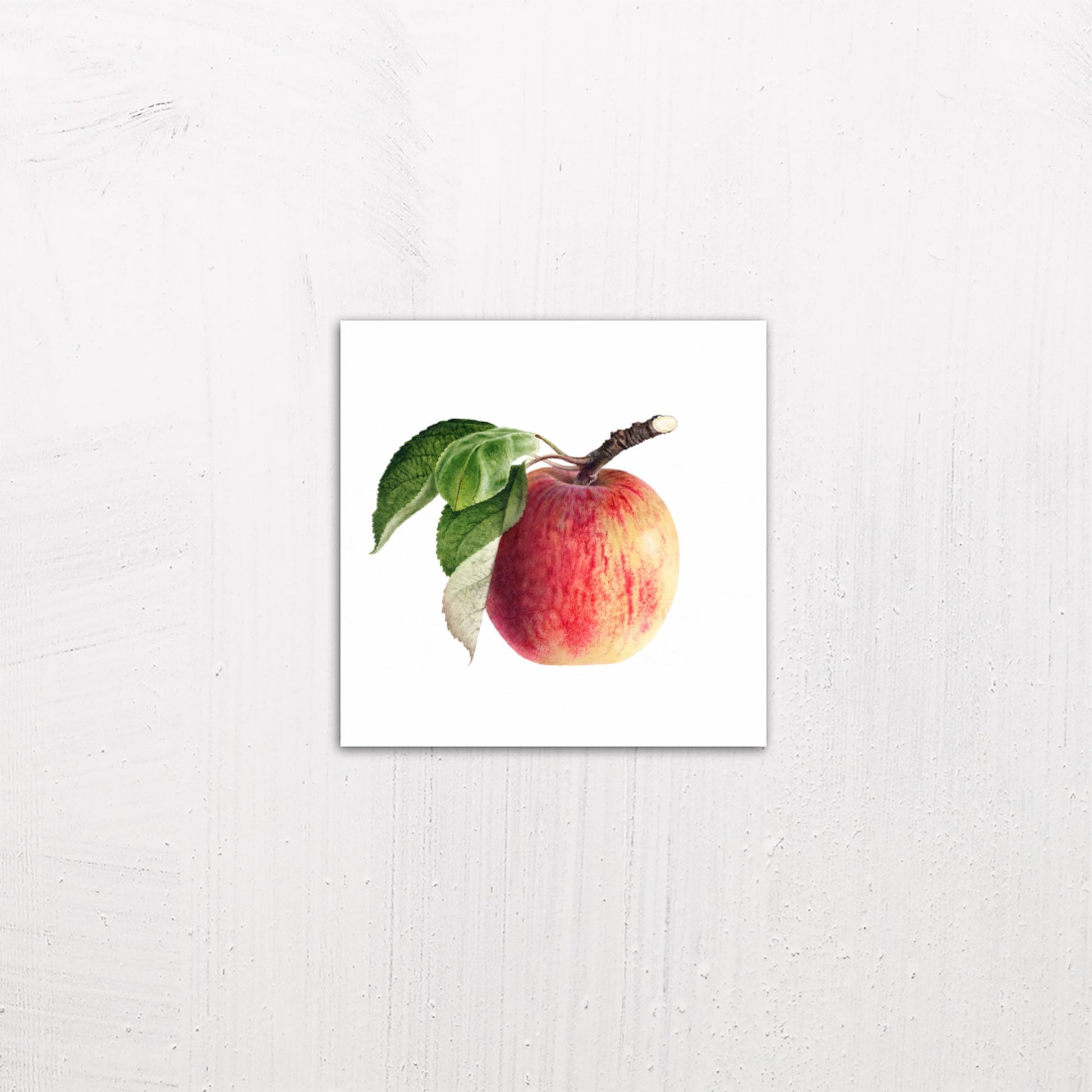A small size metal art poster display plate with printed design of a Vintage Apple Illustration