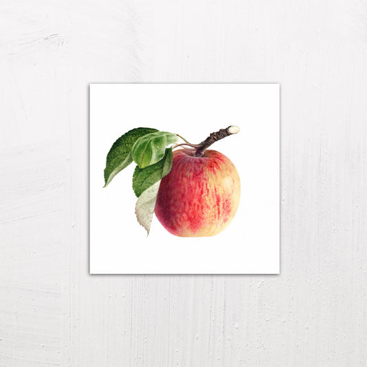 A medium size metal art poster display plate with printed design of a Vintage Apple Illustration
