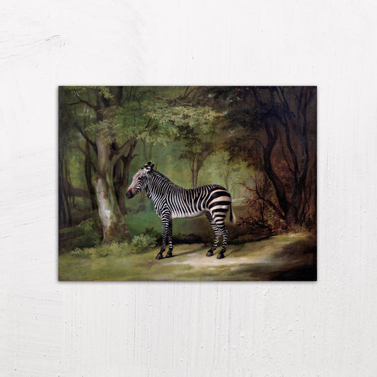 Zebra by George Stubbs (1763)