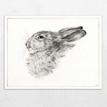 Head of a Rabbit Drawing by Jean Bernard (1821)