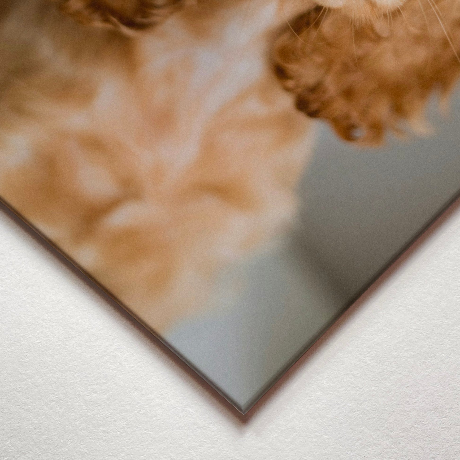 A closeup corner detail view of a metal art poster display plate with printed design of a Cute Golden Cocker Spaniel