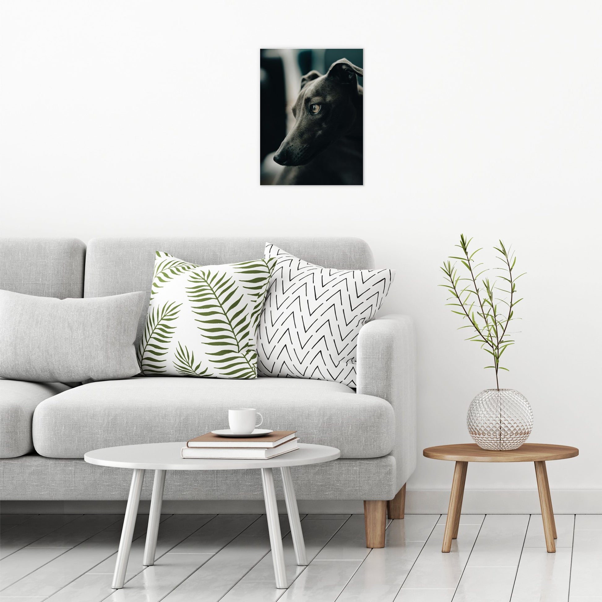 A contemporary modern room view showing a medium size metal art poster display plate with printed design of a Black Whippet