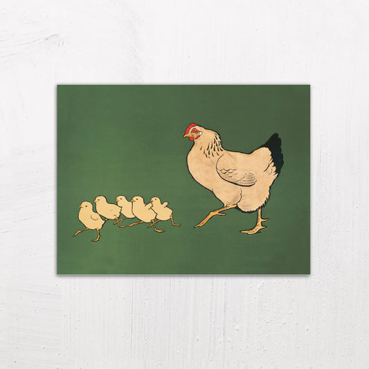 Hen and Chicks Illustration