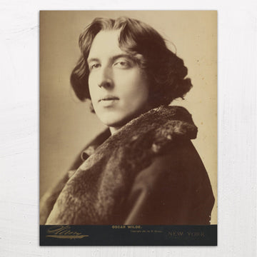 Photograph of Oscar Wilde by Napoleon Sarony (1882)