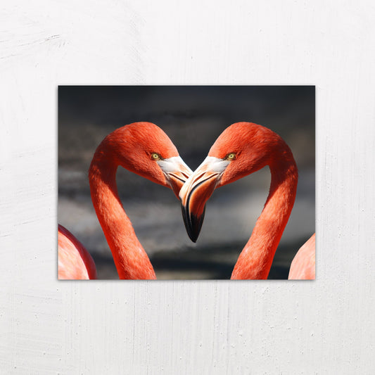 Two Flamingos Make a Heart